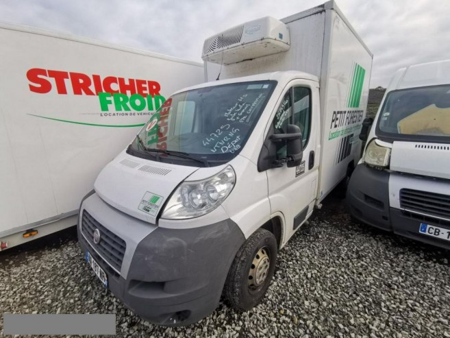 Fiat Ducato Chłodnia Izoterma Mroźnia (44725)