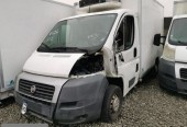 Fiat Ducato Chłodnia Izoterma Mroźnia (39290)