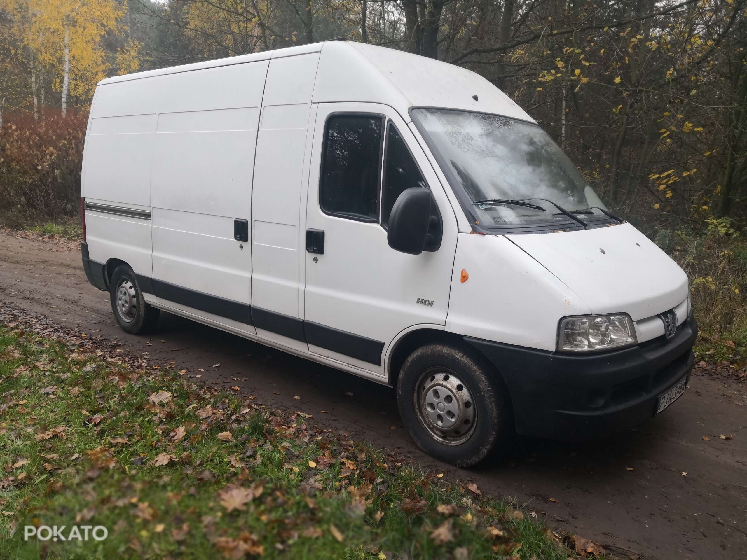 Boxer Maxi Długie opłaty