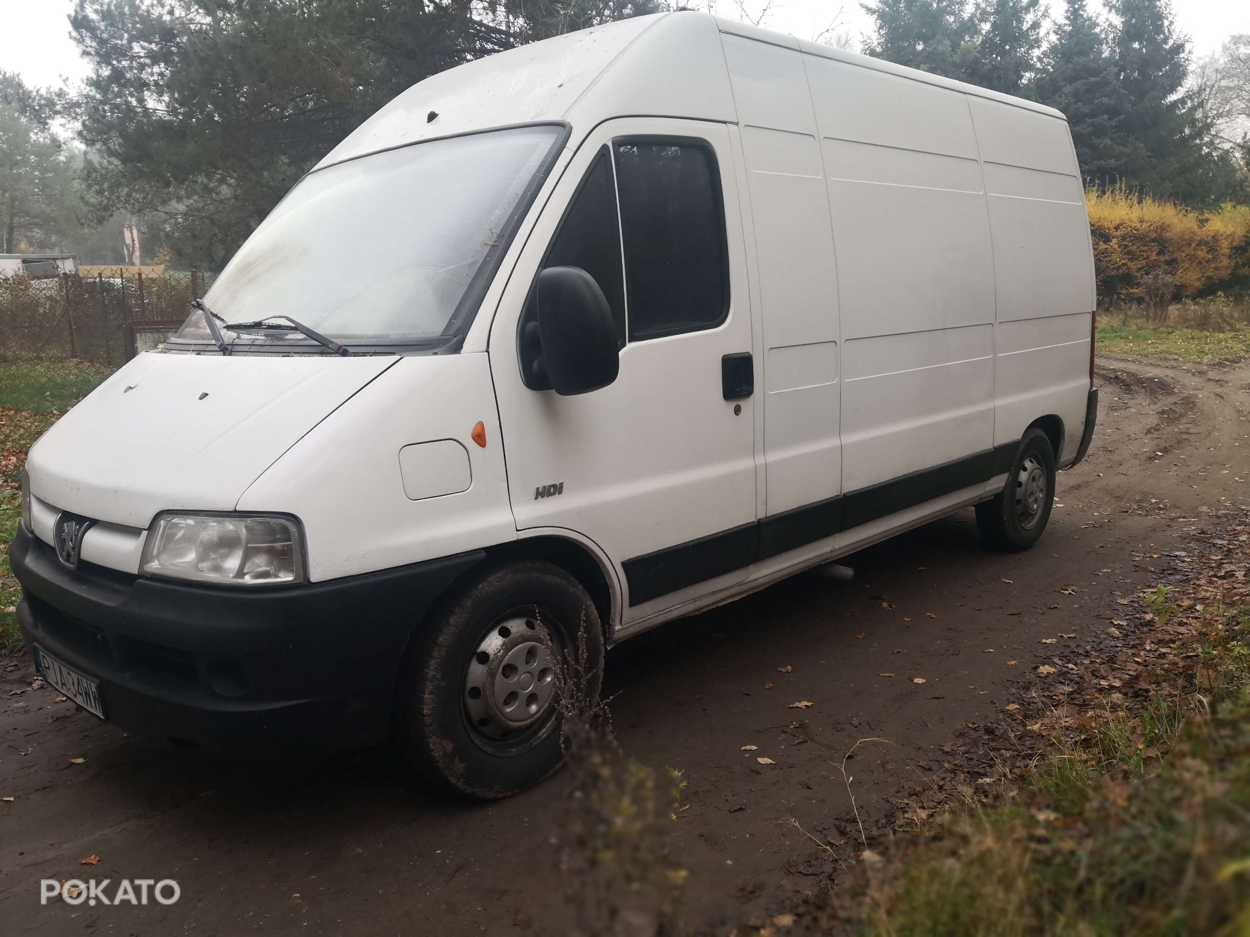 Boxer Maxi Długie opłaty