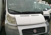 Fiat Ducato Chłodnia Izoterma Mroźnia (39290)