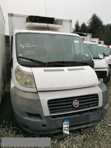 Fiat Ducato Chłodnia Izoterma Mroźnia (39290)