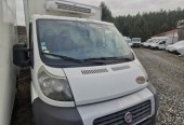 Fiat Ducato Chłodnia Izoterma Mroźnia (8263)