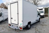 Fiat Ducato Chłodnia Izoterma Mroźnia (42803)