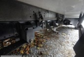 Iveco Daily 35S13 Chłodnia Mroźnia Izoterma Rama do zabudowy Laweta Wywrotka