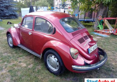07b3d7_vw-garbus-zdjecia