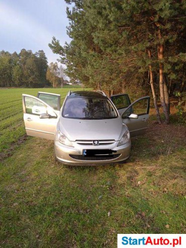 Peugeot 307 SW