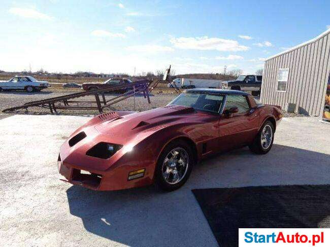 Chevrolet GMC Corvette V8 5.7 benz. 195 KM RWD 1979
