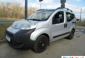 Citroen Pozostałe