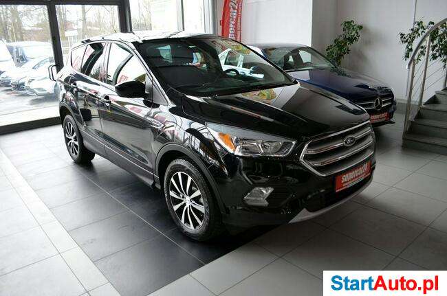 Ford Kuga / Ford Escape/ 180 KM / Benzyna / 4X4 / Automat / Kamera / A