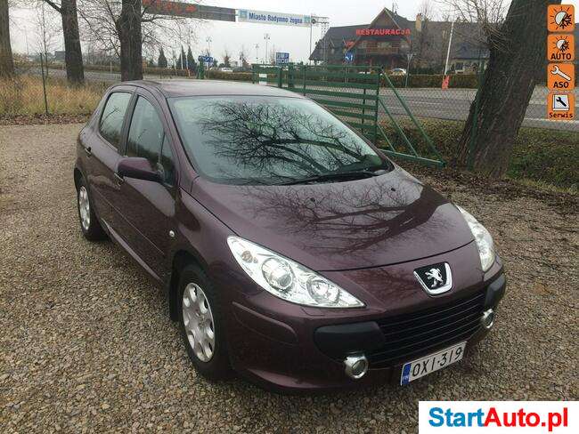 Peugeot 307