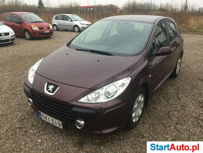 Peugeot 307