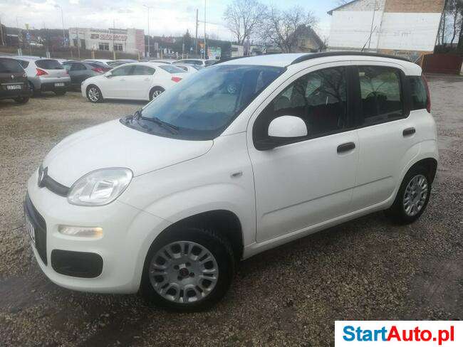 Fiat Panda 1.2 Serwis Klimatyzacja