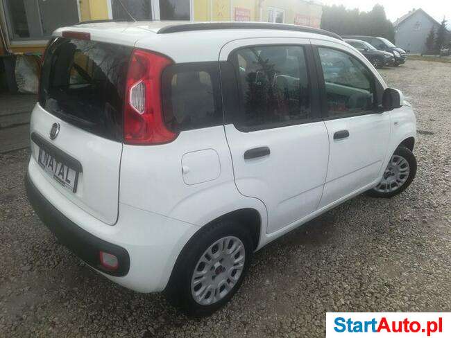 Fiat Panda 1.2 Serwis Klimatyzacja