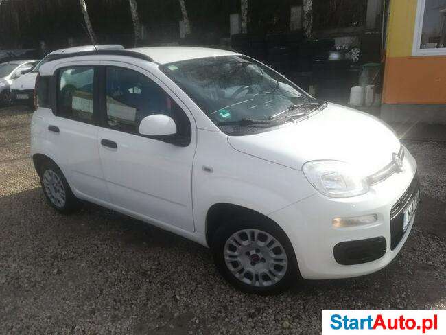 Fiat Panda 1.2 Serwis Klimatyzacja