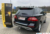 Mercedes-Benz Pozostałe
