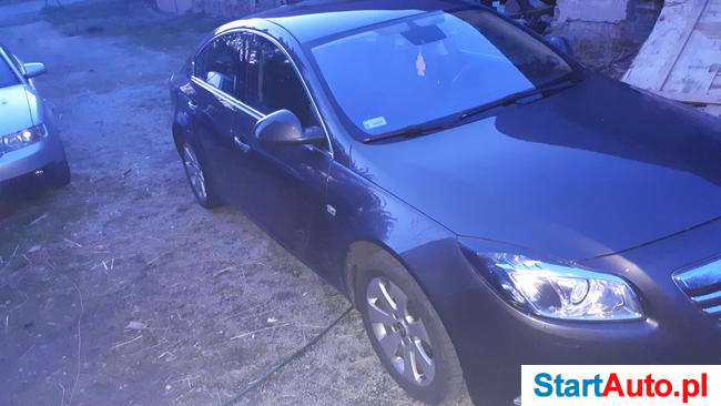 Opel insignia