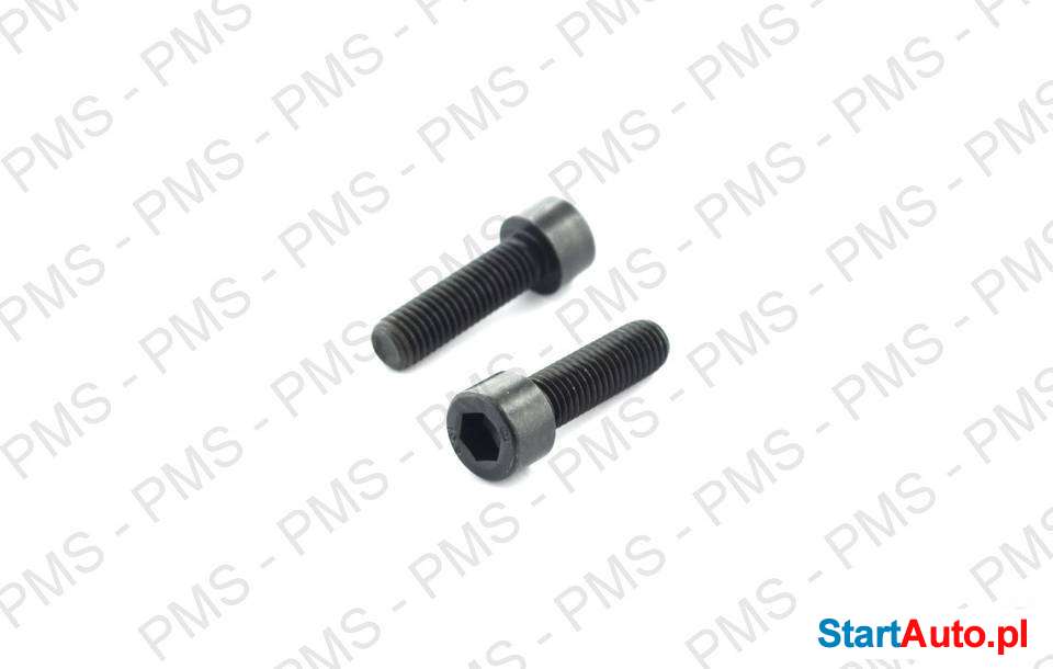 CZĘŚCI ZAMIENNE ZF – TYPY ŚRUB (ŚRUBY) – CZĘŚCI ZF