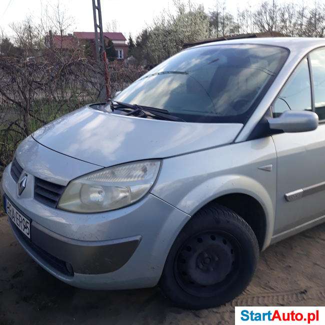 Sprzedam reno scenik