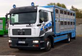 MAN TGM 12.240 DO ŻYWCA / ZWIERZĄT / BYDŁA / WAGA EL. / SUPER STAN