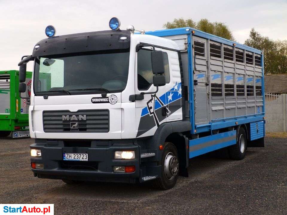 MAN TGM 12.240 DO ŻYWCA / ZWIERZĄT / BYDŁA / WAGA EL. / SUPER STAN