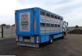 MAN TGM 12.240 DO ŻYWCA / ZWIERZĄT / BYDŁA / WAGA EL. / SUPER STAN