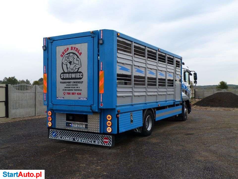 MAN TGM 12.240 DO ŻYWCA / ZWIERZĄT / BYDŁA / WAGA EL. / SUPER STAN