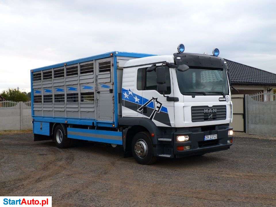 MAN TGM 12.240 DO ŻYWCA / ZWIERZĄT / BYDŁA / WAGA EL. / SUPER STAN