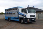 MAN TGM 12.240 DO ŻYWCA / ZWIERZĄT / BYDŁA / WAGA EL. / SUPER STAN