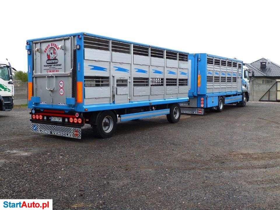 MAN TGM 12.240 + PRZYCZEPA / ZESTAW DO ŻYWCA / ZWIERZĄT / BYDŁA / STAN IDEALNY / WAGA EL.