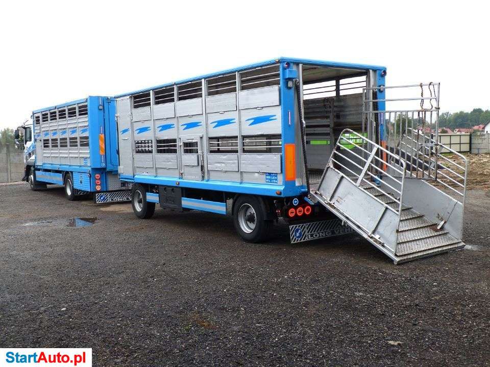 MAN TGM 12.240 + PRZYCZEPA / ZESTAW DO ŻYWCA / ZWIERZĄT / BYDŁA / STAN IDEALNY / WAGA EL.