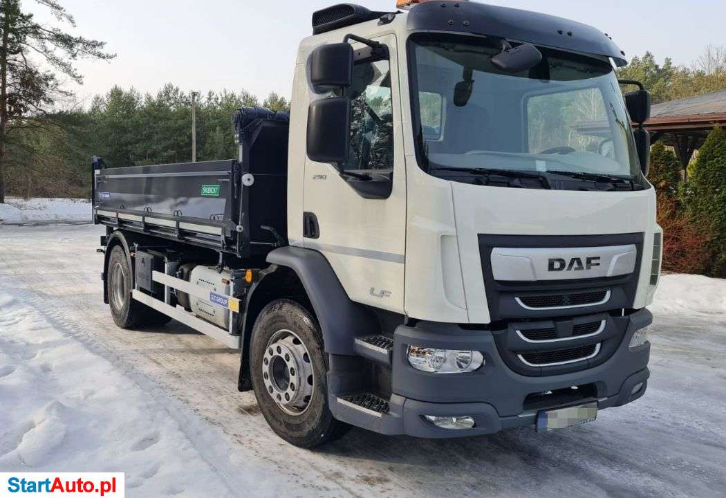 DAF LF 290