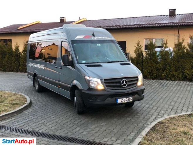 Mercedes-Benz 519