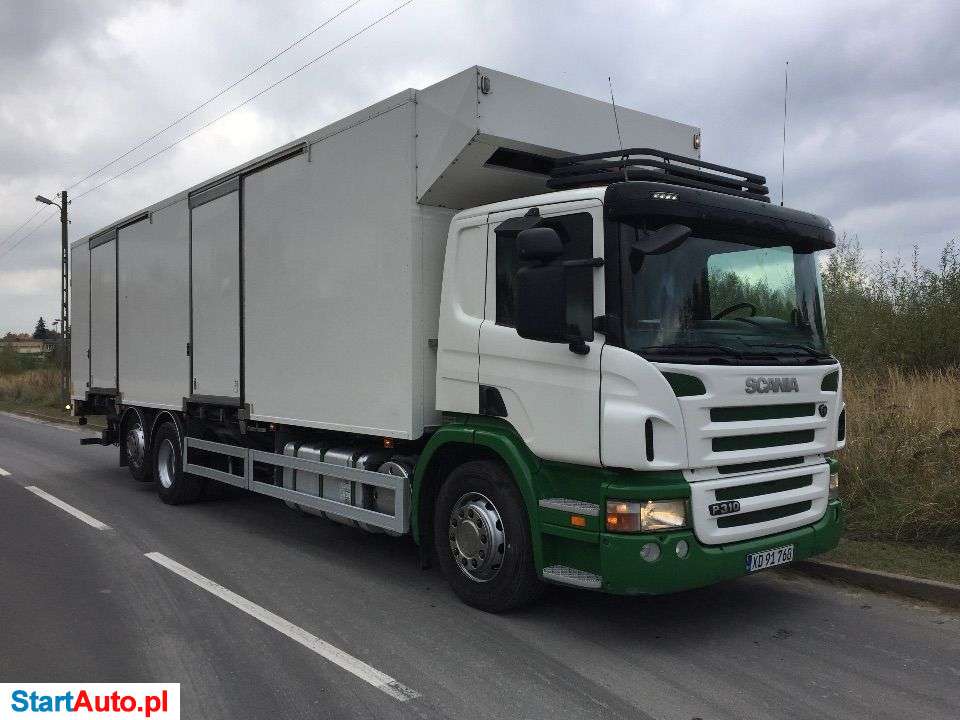 Scania P 310 DO PRZEWOZU PISKLAT