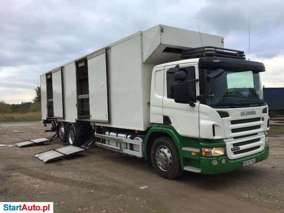 Scania P 310 DO PRZEWOZU PISKLAT