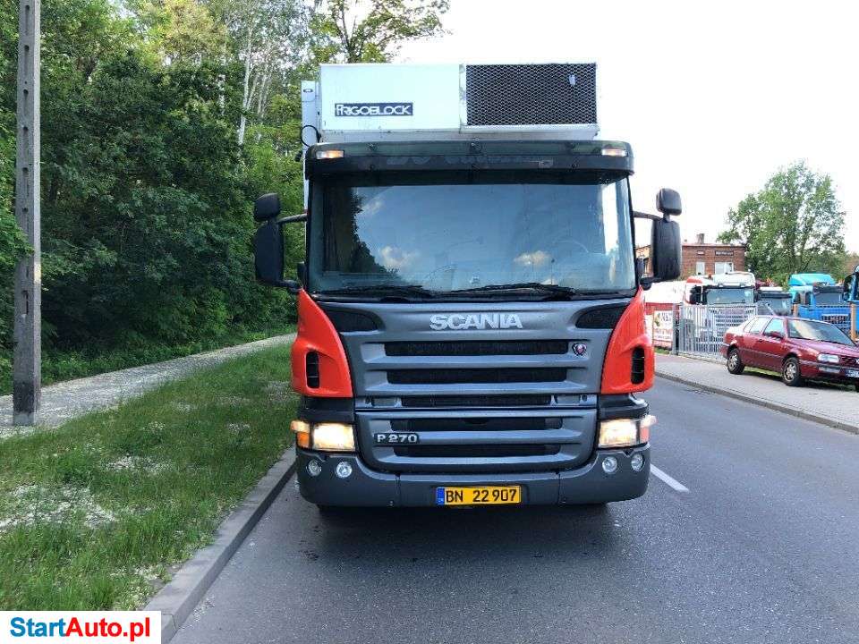 Scania SCANIA P 270 CHLODNIA 21 PALET