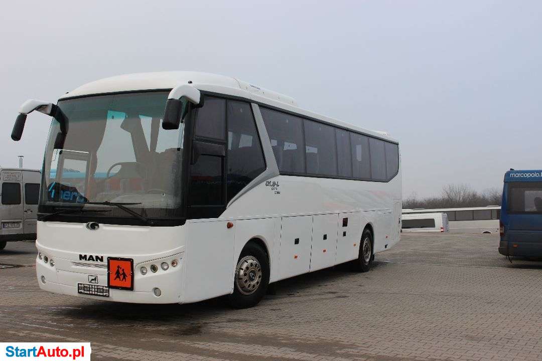 MAN Cobra
