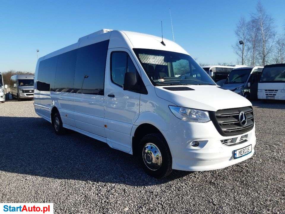 Mercus Sprinter 519