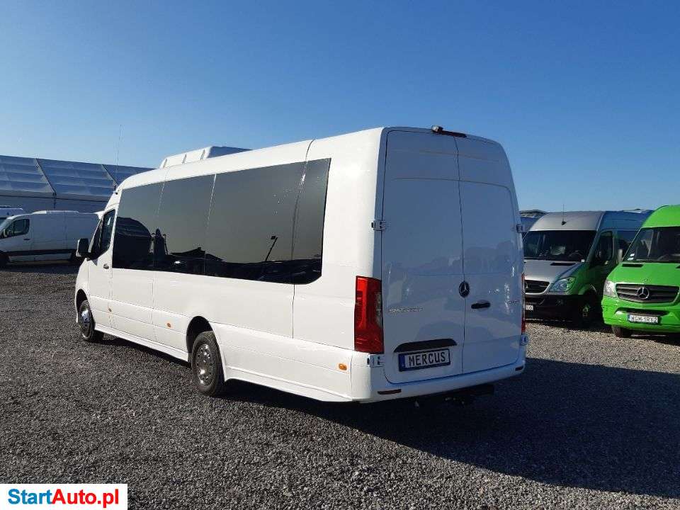 Mercus Sprinter 519