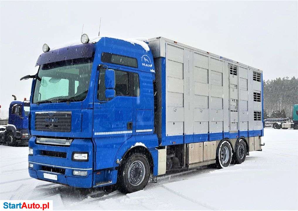 MAN TGA 26.440 XXL / Żywiec / Podnoszony Dach / 3 Poziomy / Micheletto