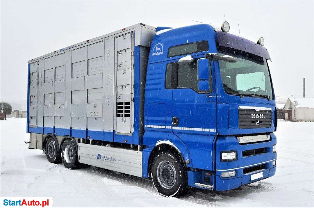 MAN TGA 26.440 XXL / Żywiec / Podnoszony Dach / 3 Poziomy / Micheletto