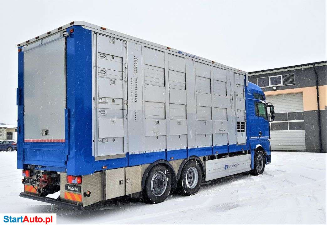 MAN TGA 26.440 XXL / Żywiec / Podnoszony Dach / 3 Poziomy / Micheletto