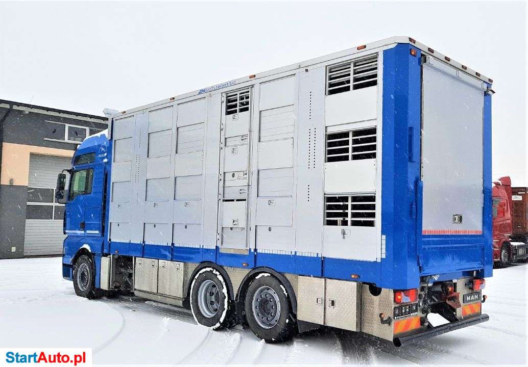 MAN TGA 26.440 XXL / Żywiec / Podnoszony Dach / 3 Poziomy / Micheletto