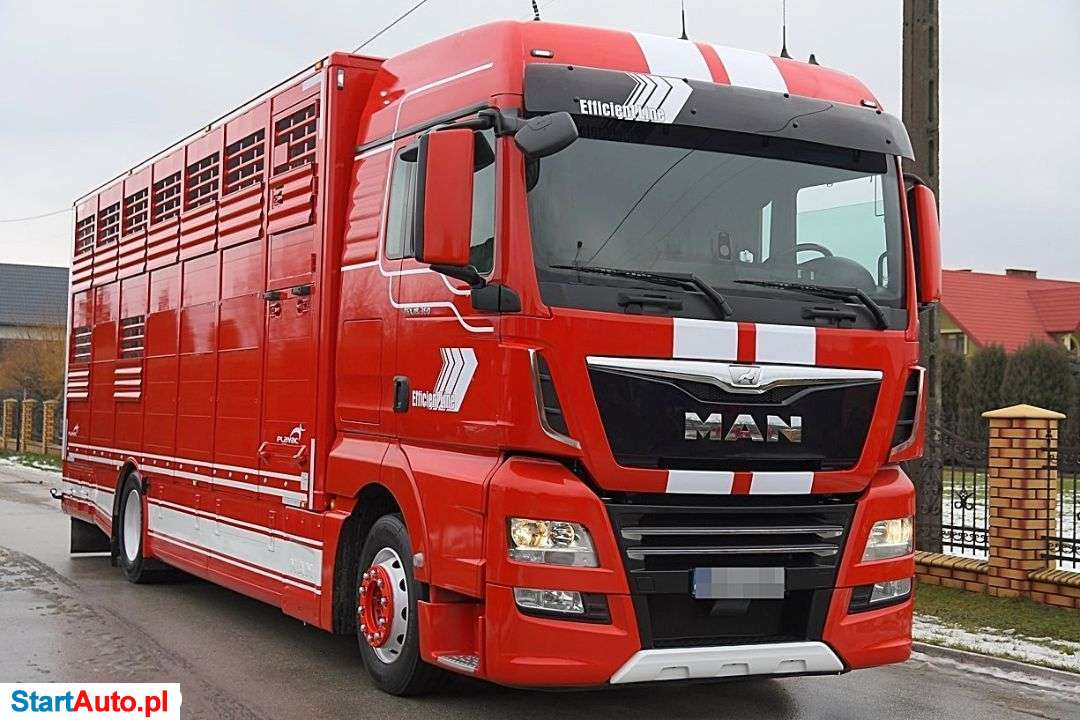 MAN TGX 18.360_DO PRZEWOZU ZWIERZĄT * NOWA ZABUDOWA! * WYJĄTKOWO ZADBANY!