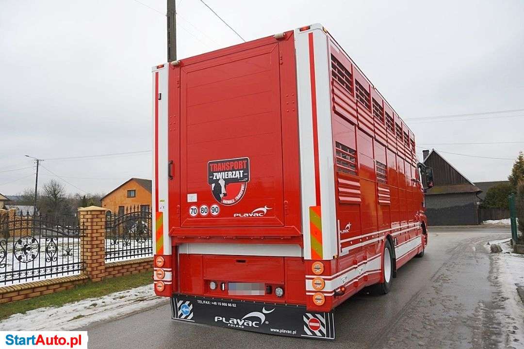 MAN TGX 18.360_DO PRZEWOZU ZWIERZĄT * NOWA ZABUDOWA! * WYJĄTKOWO ZADBANY!