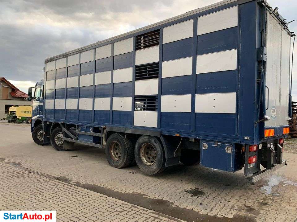 Volvo Fh 400 Fm Scania Man Do Przewozu Zwierząt