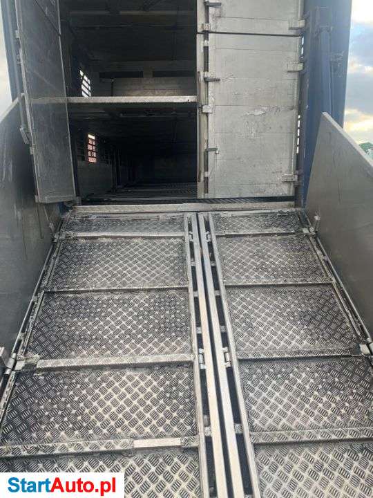 Volvo Fh 400 Fm Scania Man Do Przewozu Zwierząt