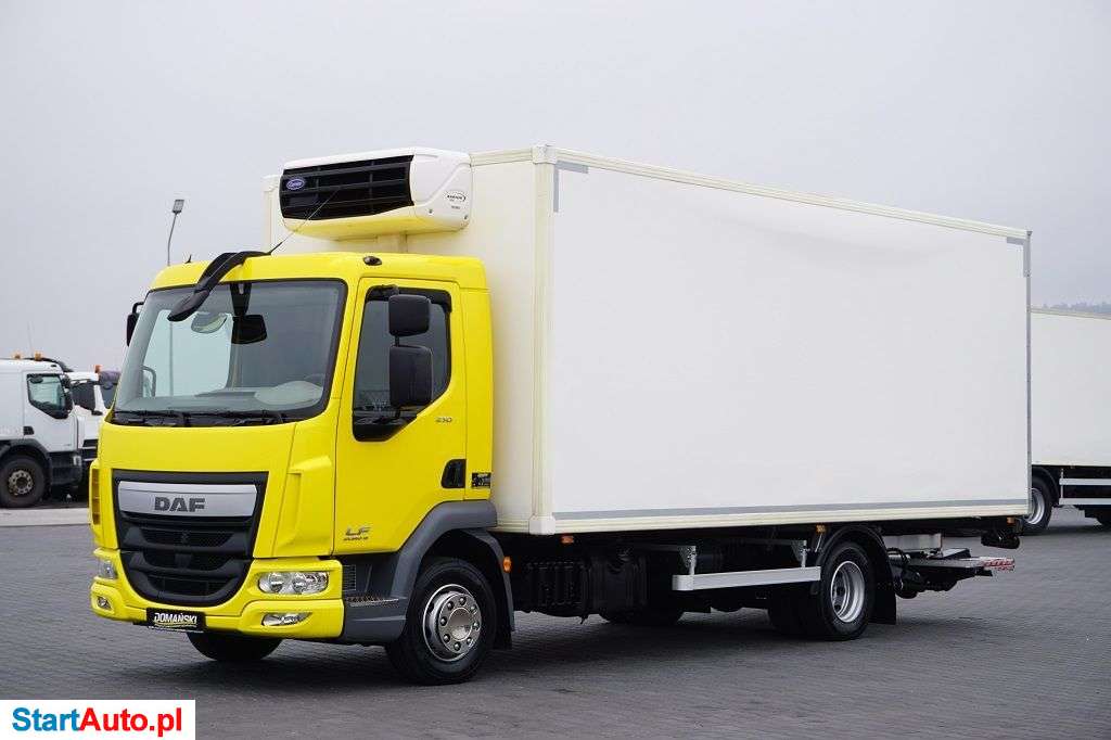 DAF / LF 210 / EURO 6 / CHŁODNIA + WINDA / 15 PALET / ŁAD. 7 110 KG