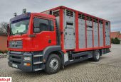 MAN TGA 410 Do Bydła