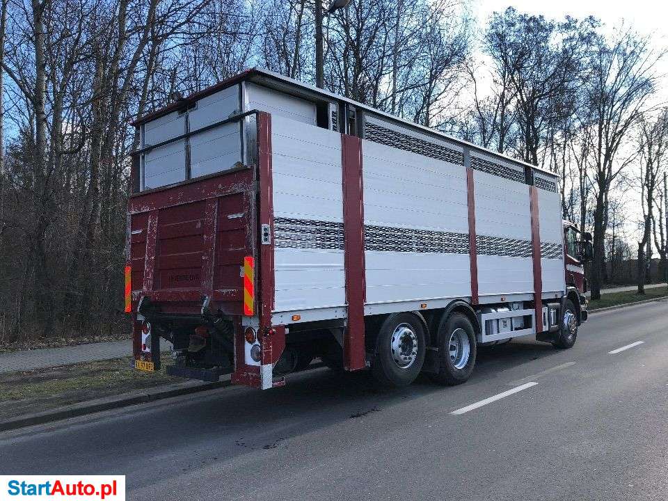 Scania 340 DO ZYWCA -ZWIERZAT